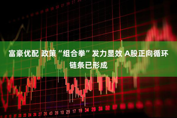 富豪优配 政策“组合拳”发力显效 A股正向循环链条已形成