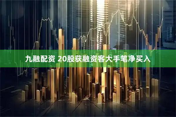 九融配资 20股获融资客大手笔净买入