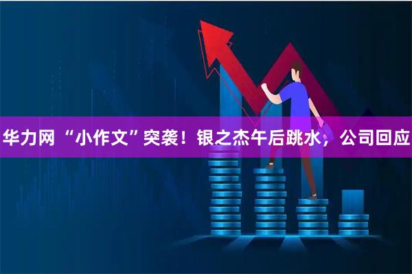华力网 “小作文”突袭！银之杰午后跳水，公司回应